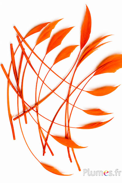 Gans Pfeil - 10-15 cm - orange